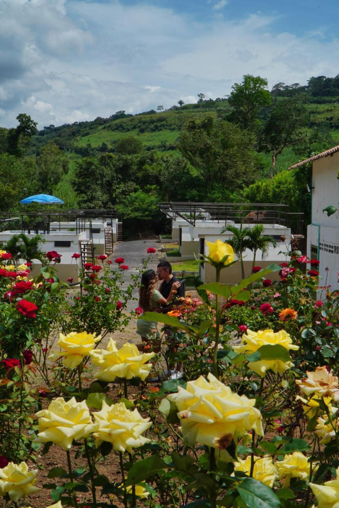 Cielo Abierto Glamping Hotell Valle de San José Eksteriør bilde